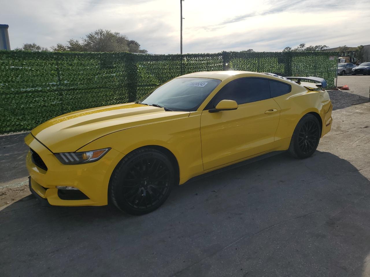 2015 FORD MUSTANG  2015 image