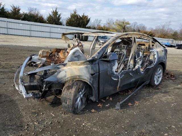 Obraz 2023 TESLA MODEL Y  2023