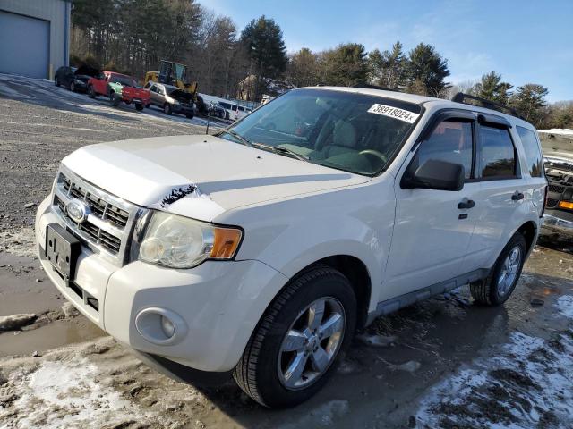 Obraz 2009 FORD ESCAPE XLT 2009