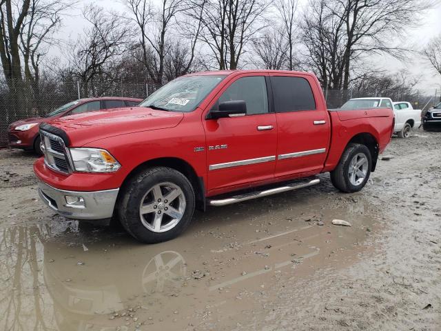 Obraz 2009 DODGE RAM 1500  2009
